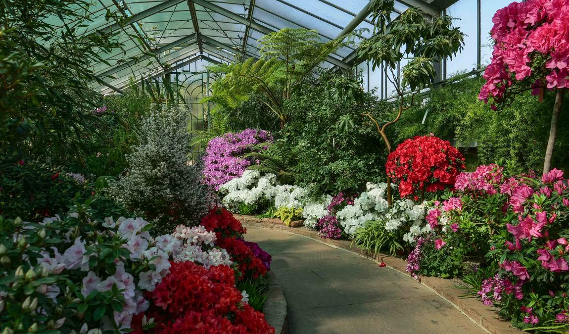 wilhelma zoo and botanical garden photo 4