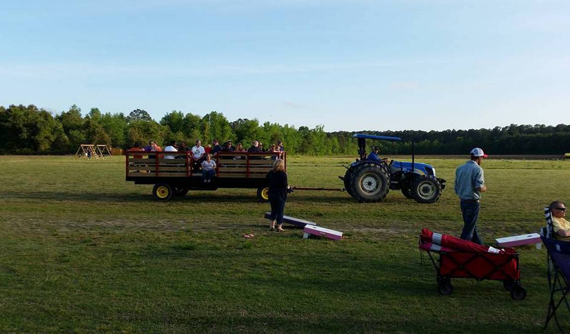 brock's berries & farm photo 3