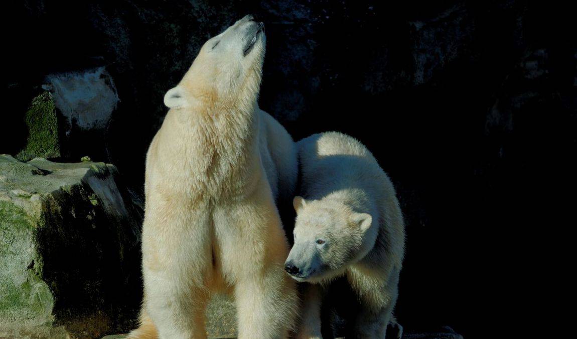 bremerhaven zoo photo 1