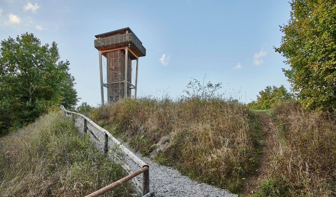 herborn gmbh zoo photo 5