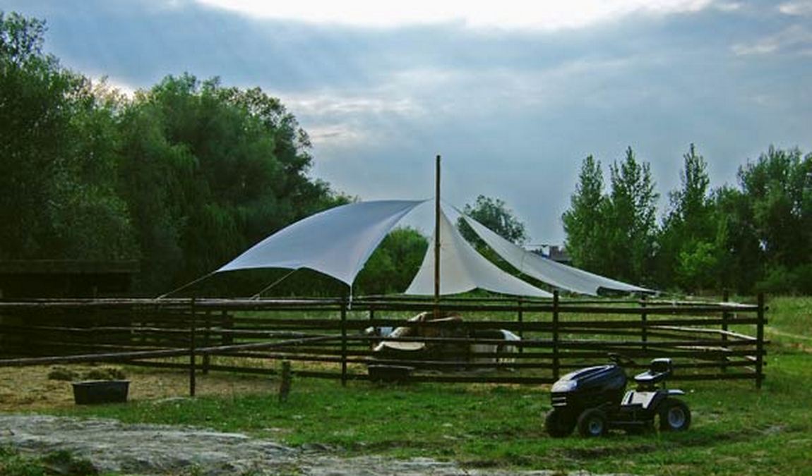 vienna kids farm photo 3