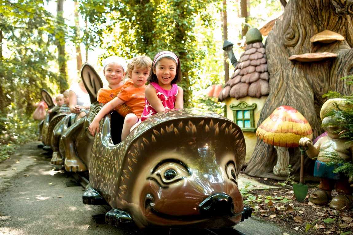 family leisure park märchenwald  photo 3