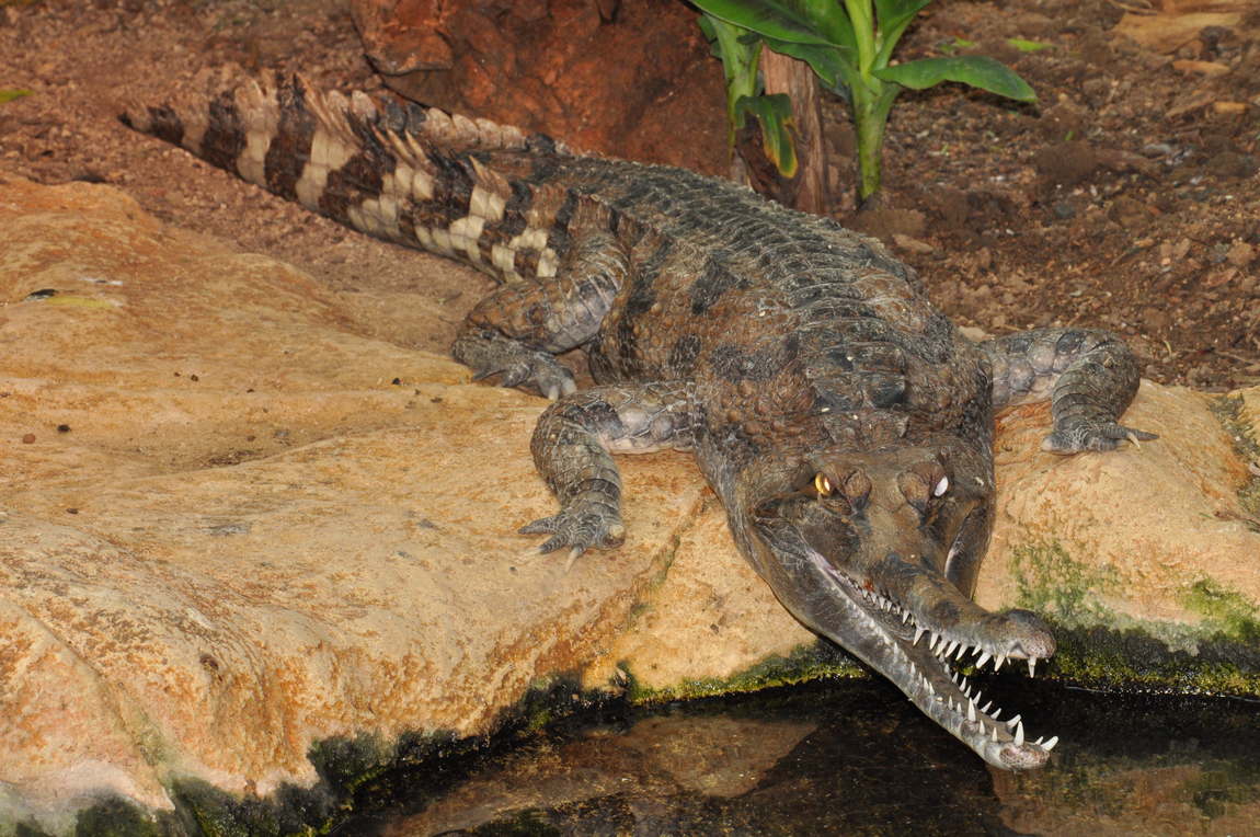 house of the sea photo 3