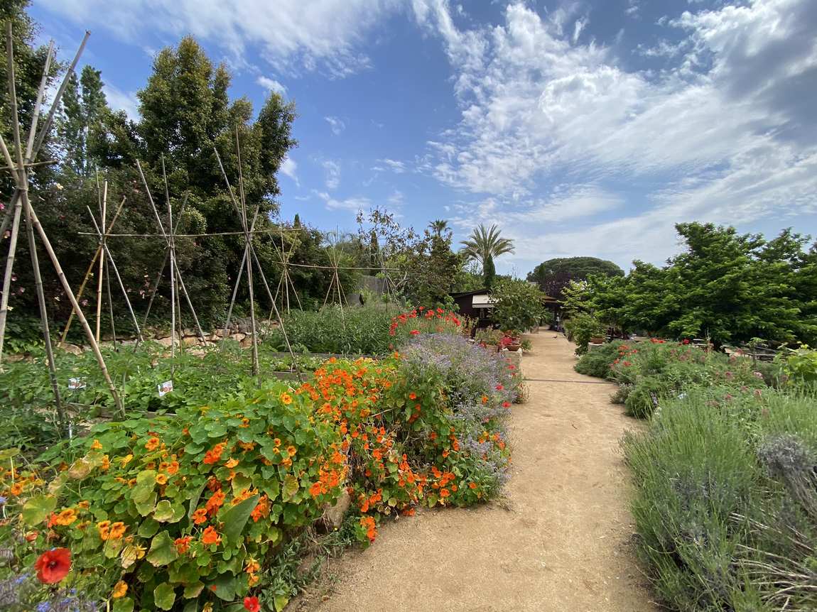 marimurtra botanical garden photo 3