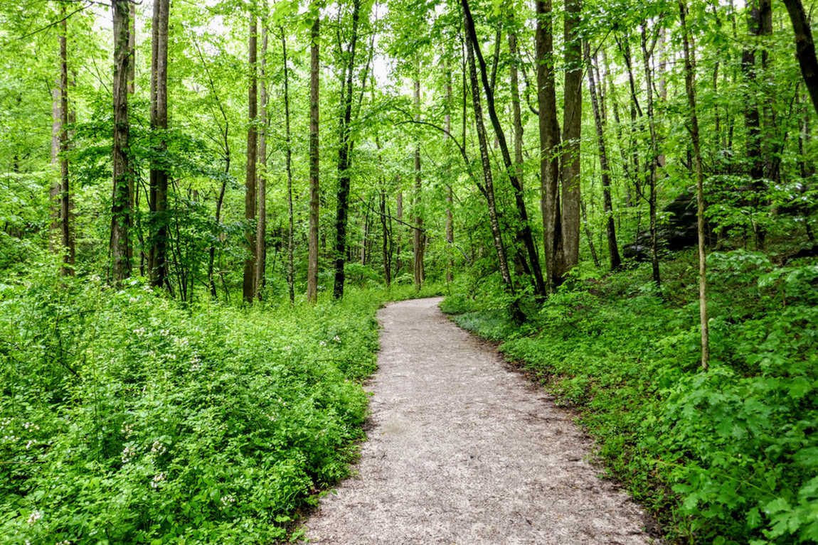 tom's creek falls photo 2