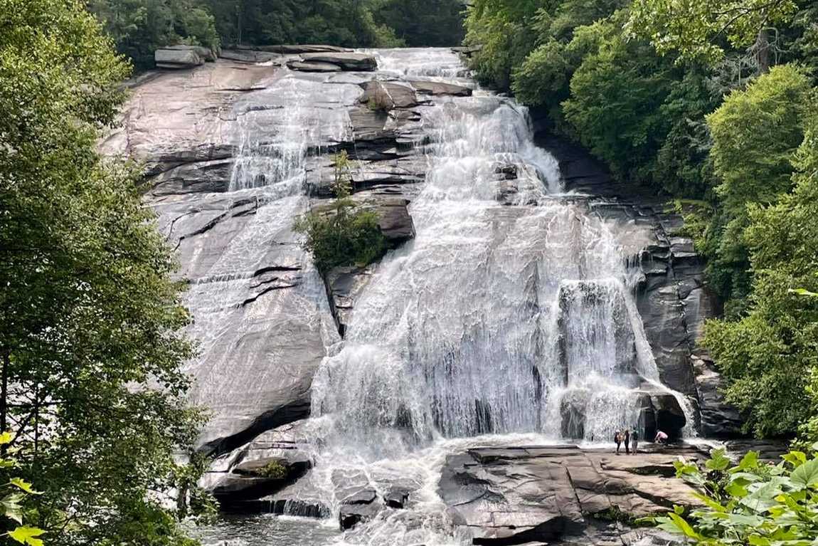 dupont state recreational forest  photo 1