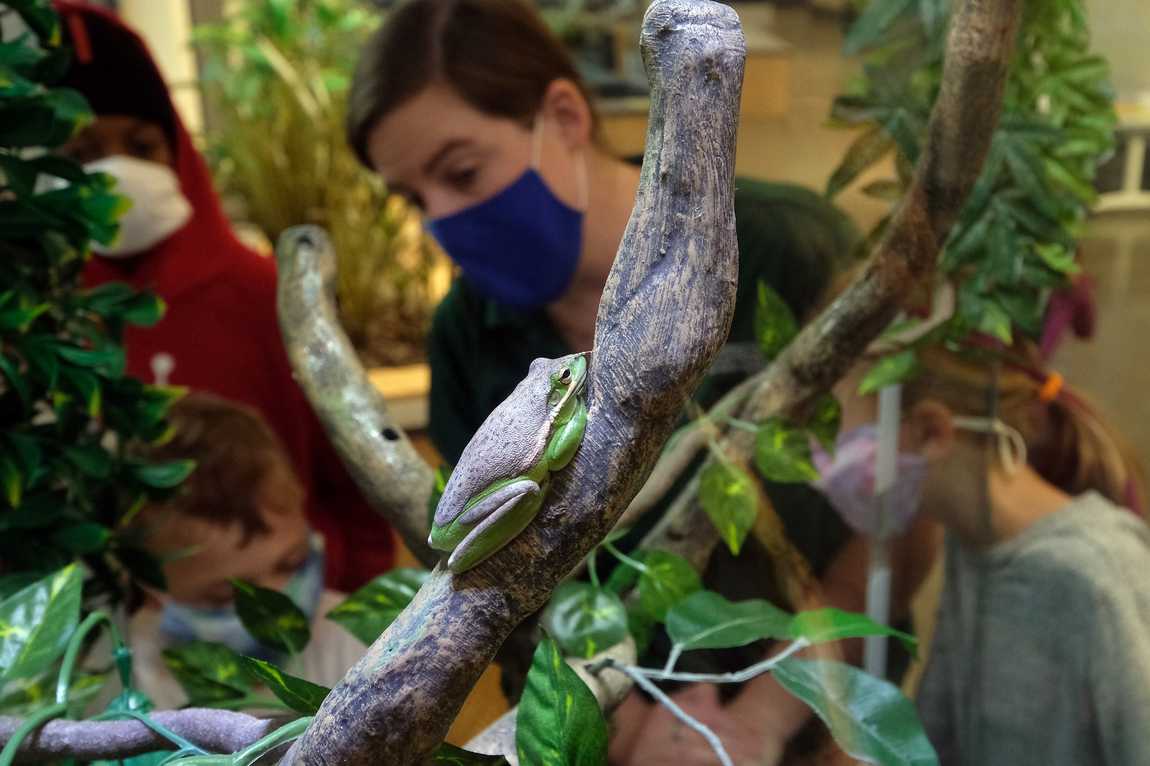 mcdowell nature center photo 2