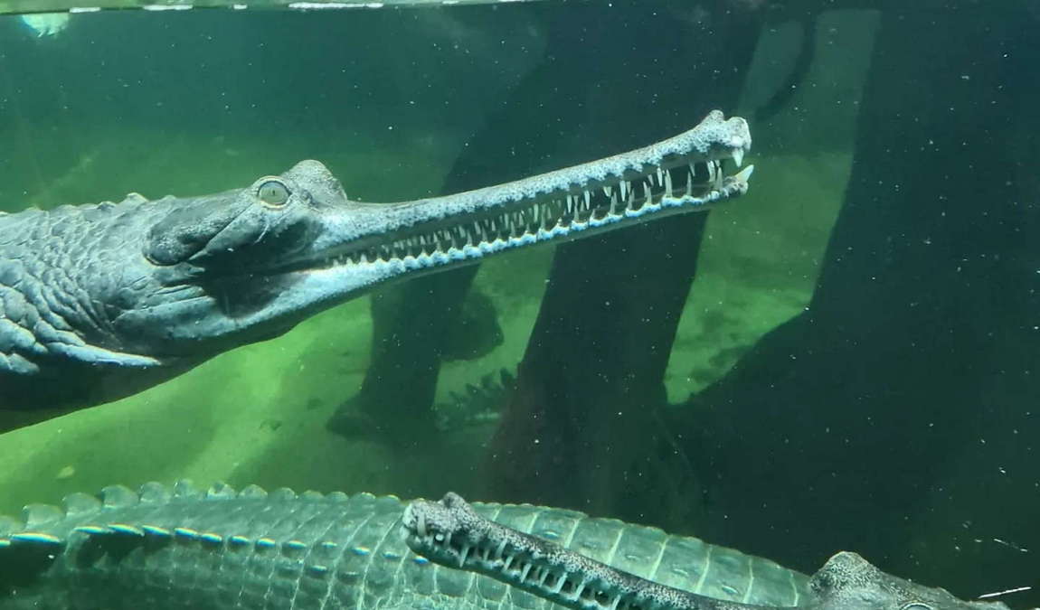 welt der gifte photo 4