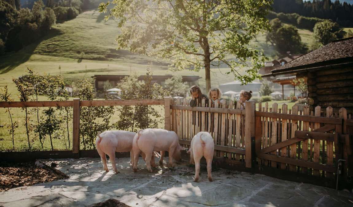 moar gut farm photo 3