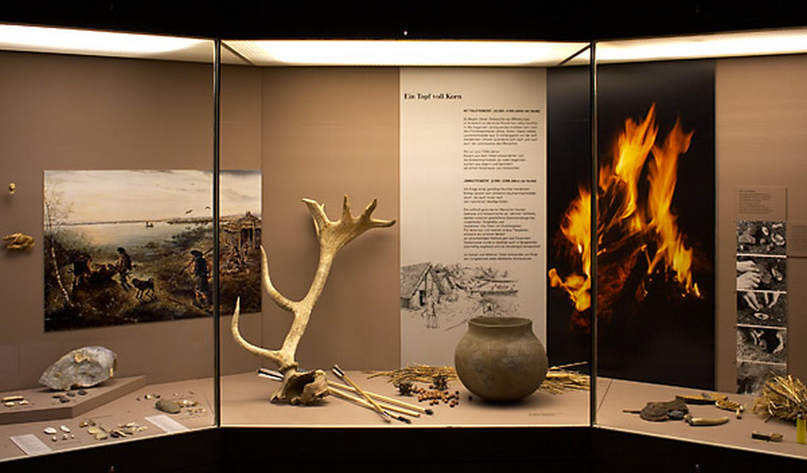 natural history museum of eastern bavaria photo 3