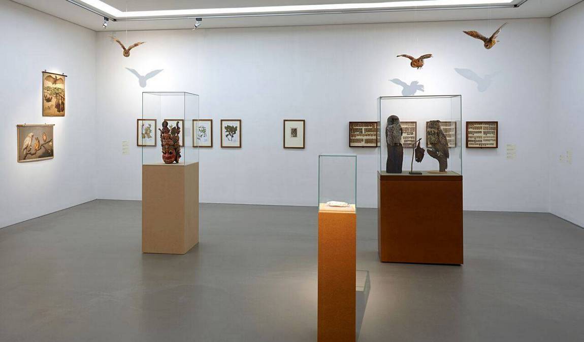 natural history museum photo 9