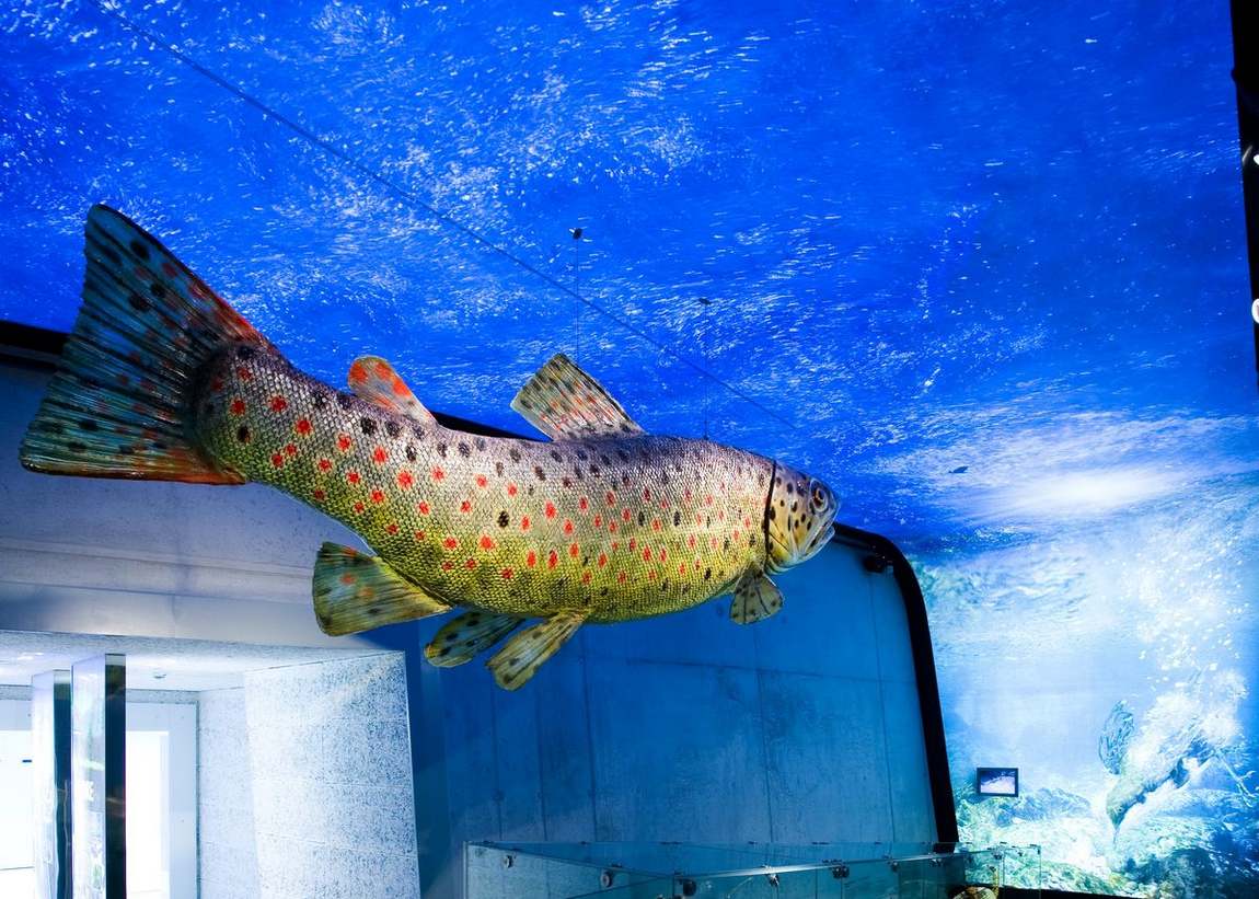 mittersill national park museum photo 6