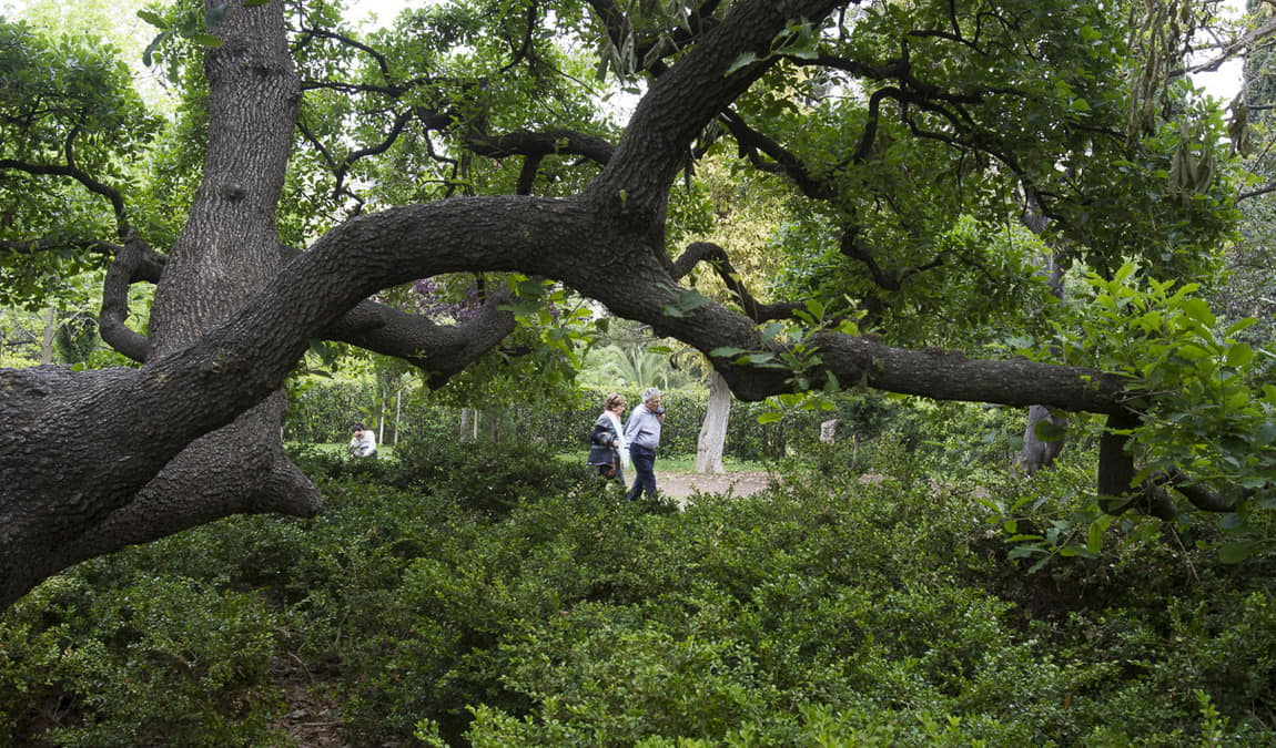 tamarita gardens photo 4