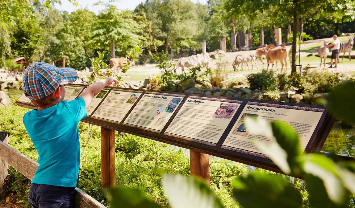 westphalian horse museum photo 3