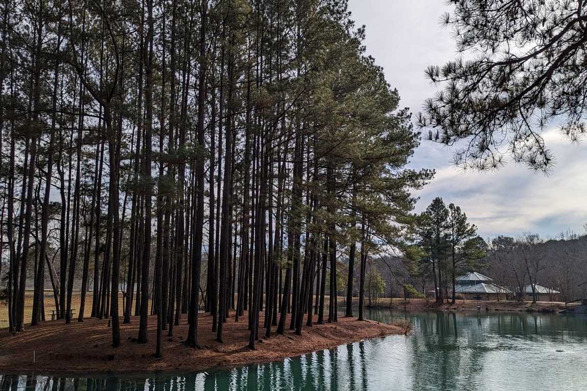 hornets nest park photo 3