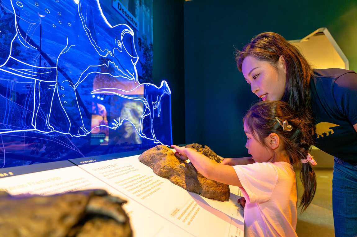 north carolina museum of natural sciences photo 2