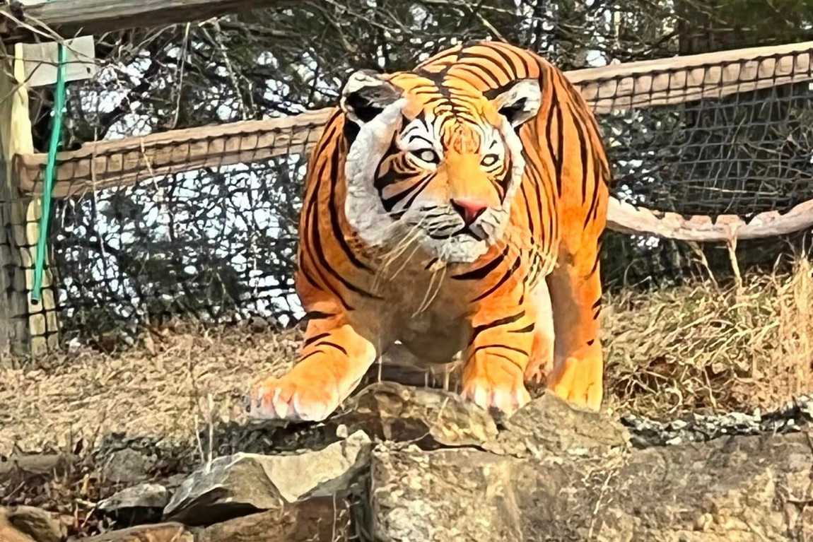 tropical gardens mini golf photo 2