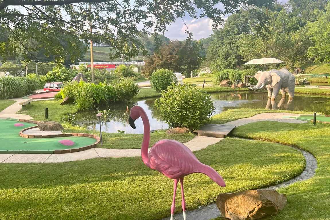 tropical gardens mini golf photo 5