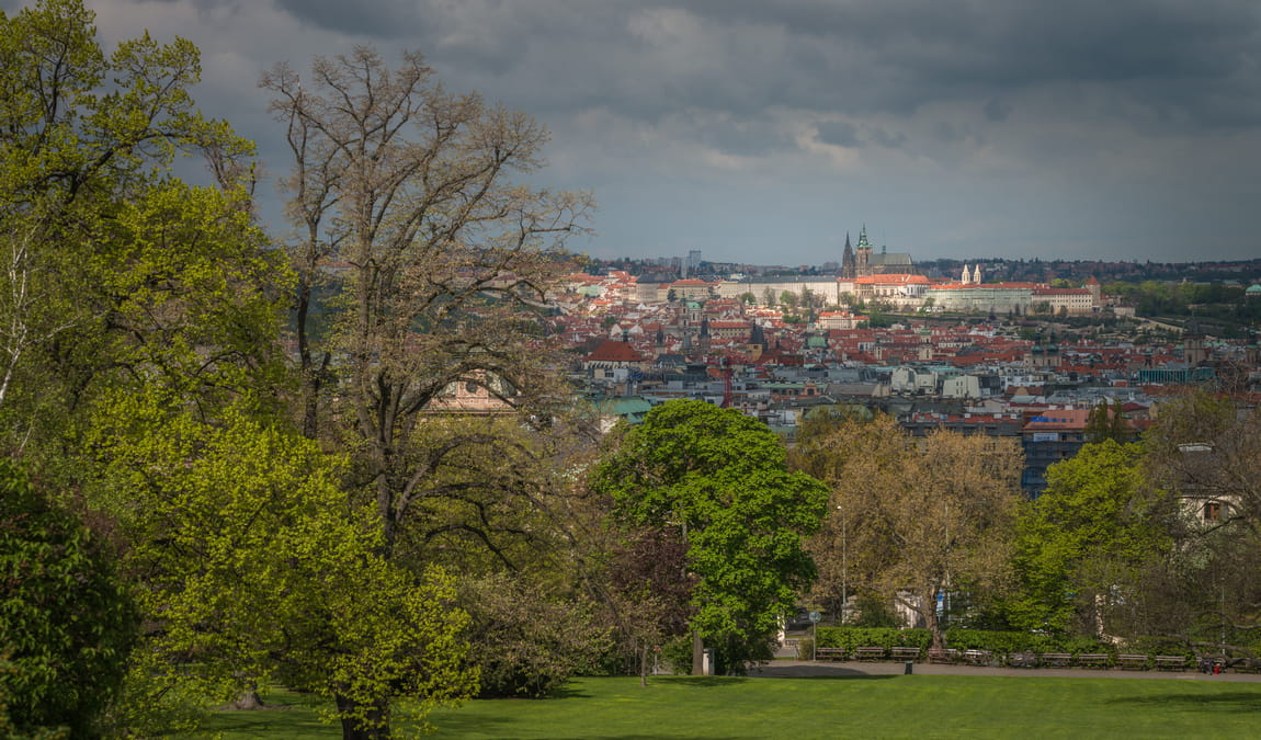 riegrovy sady photo 6