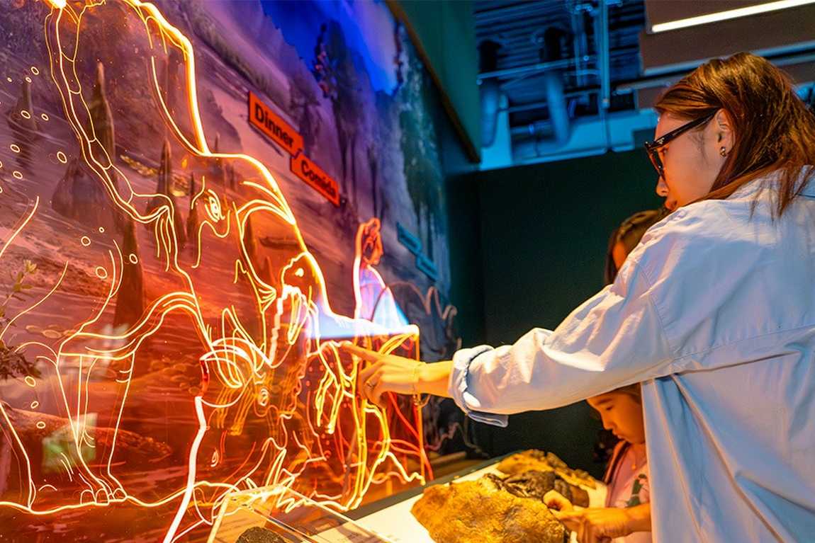 north carolina museum of natural sciences photo 4