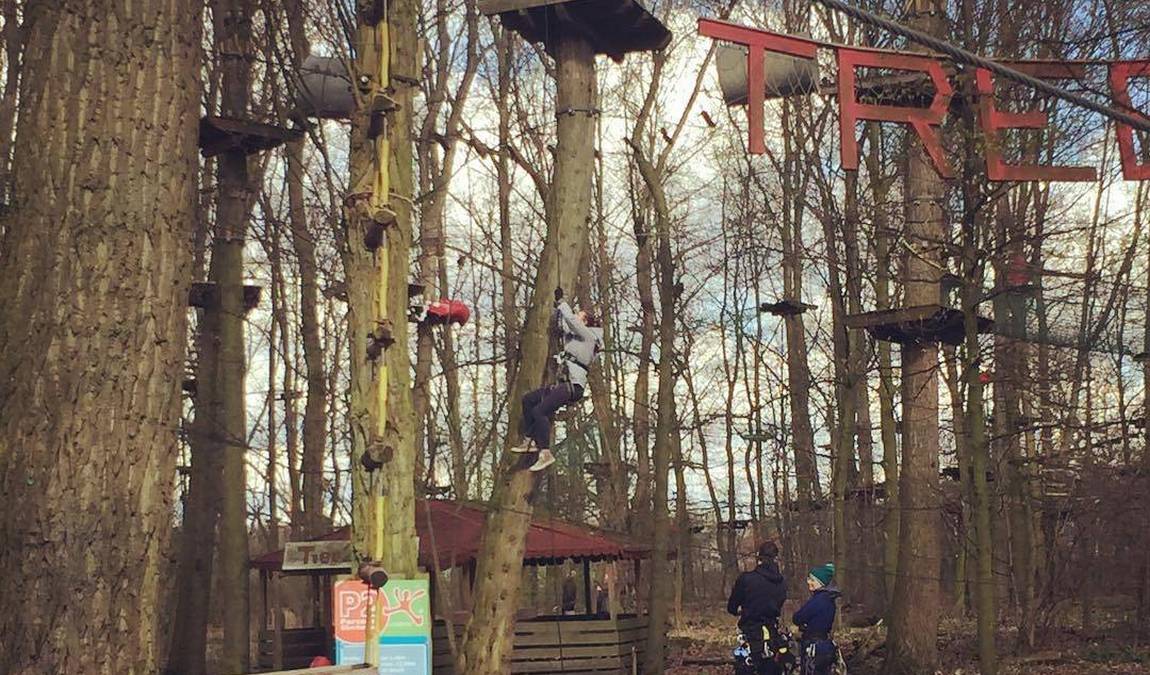 tree2tree climbing park photo 1