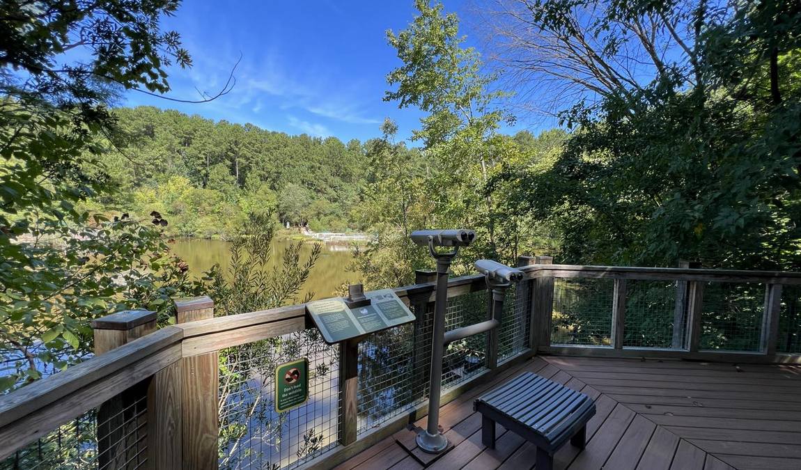 museum of life and science photo 3