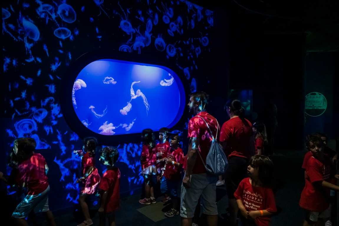 city of arts and sciences photo 3