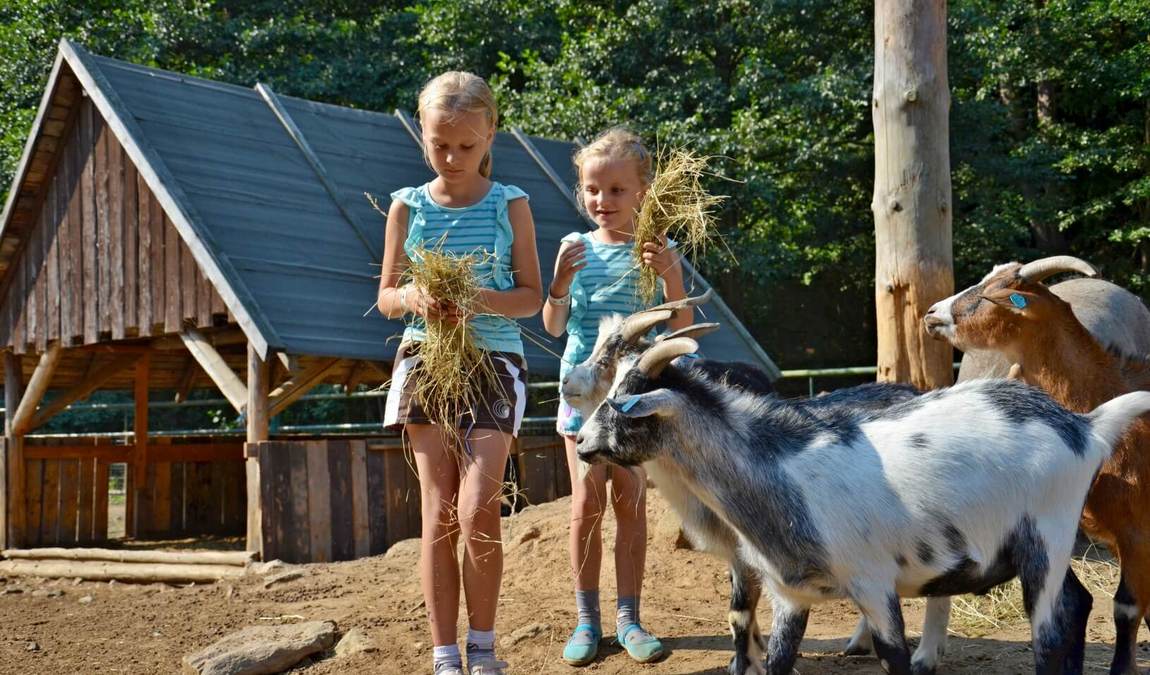 sikland amusement park photo 6