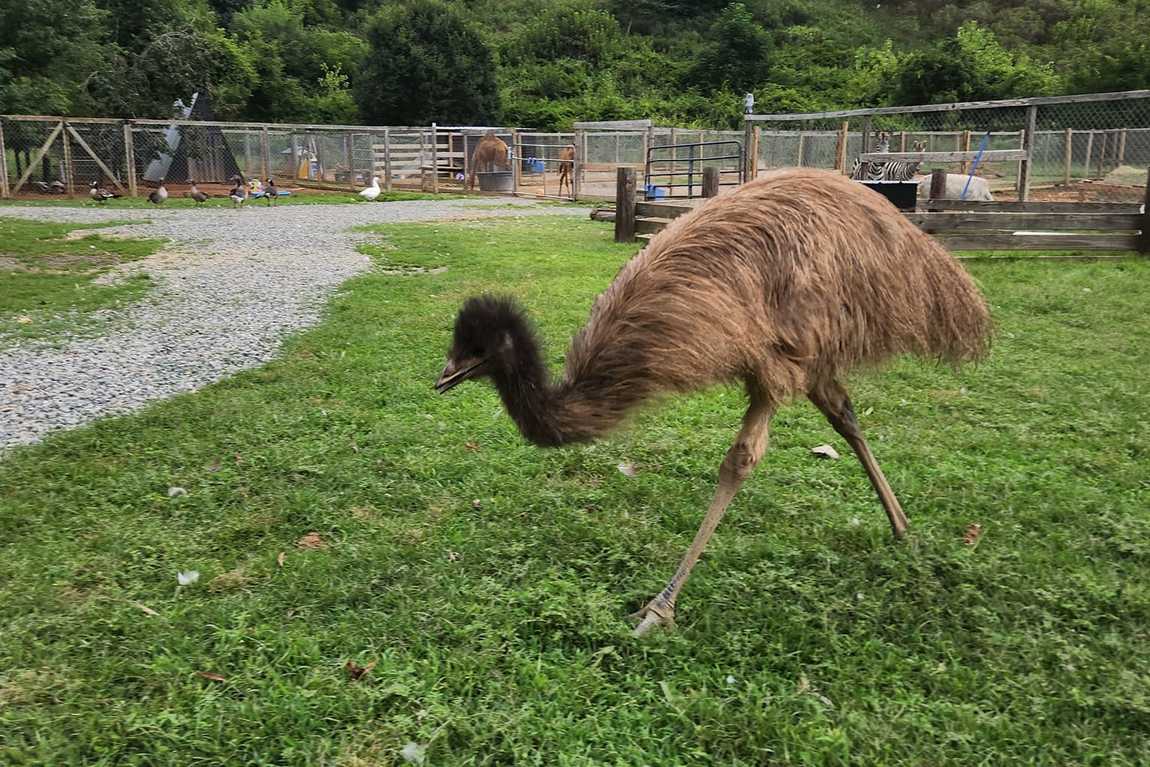 darby acres farm photo 3