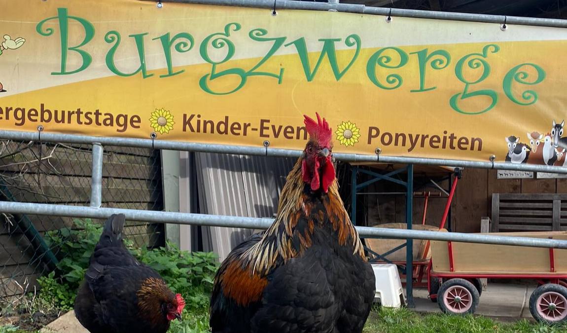 burgzwergen farm photo 7