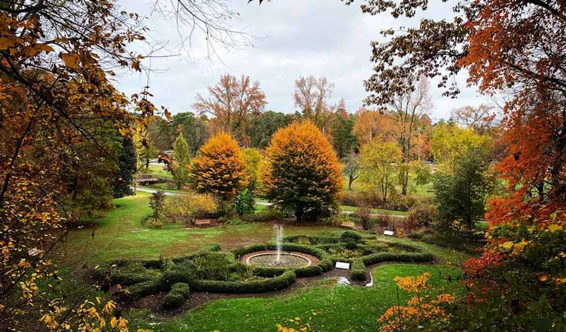 greensboro arboretum photo 1