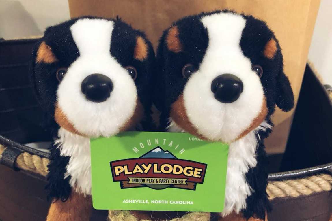 mountain play lodge photo 4