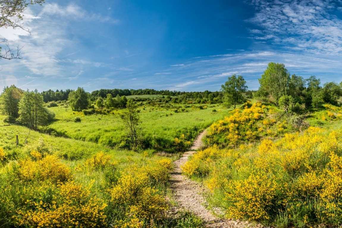 eifel national park photo 1