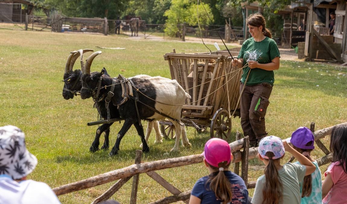 bad mergentheim wild park photo 5