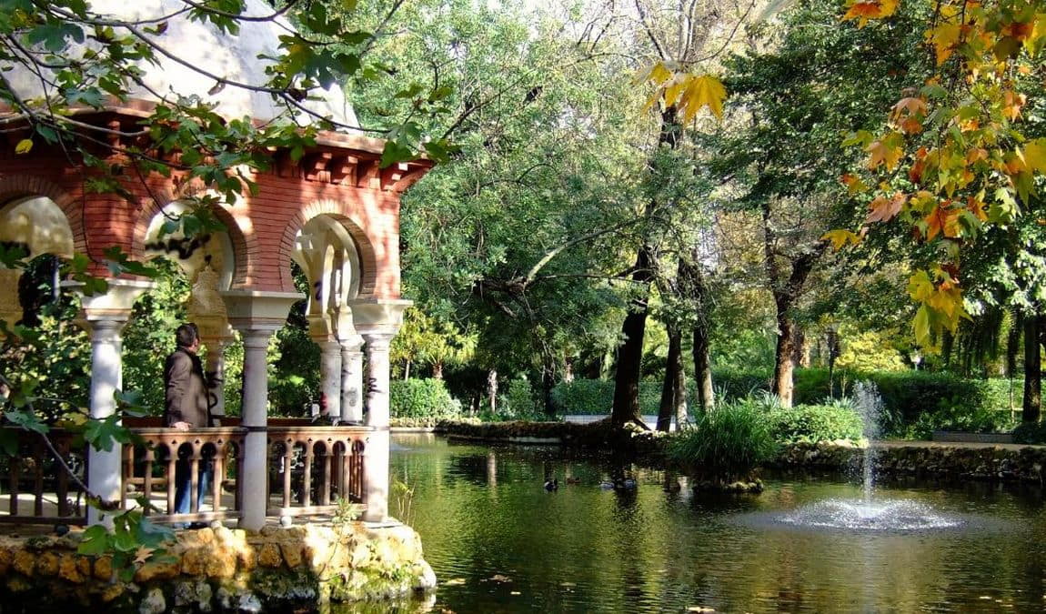 murillo gardens photo 3