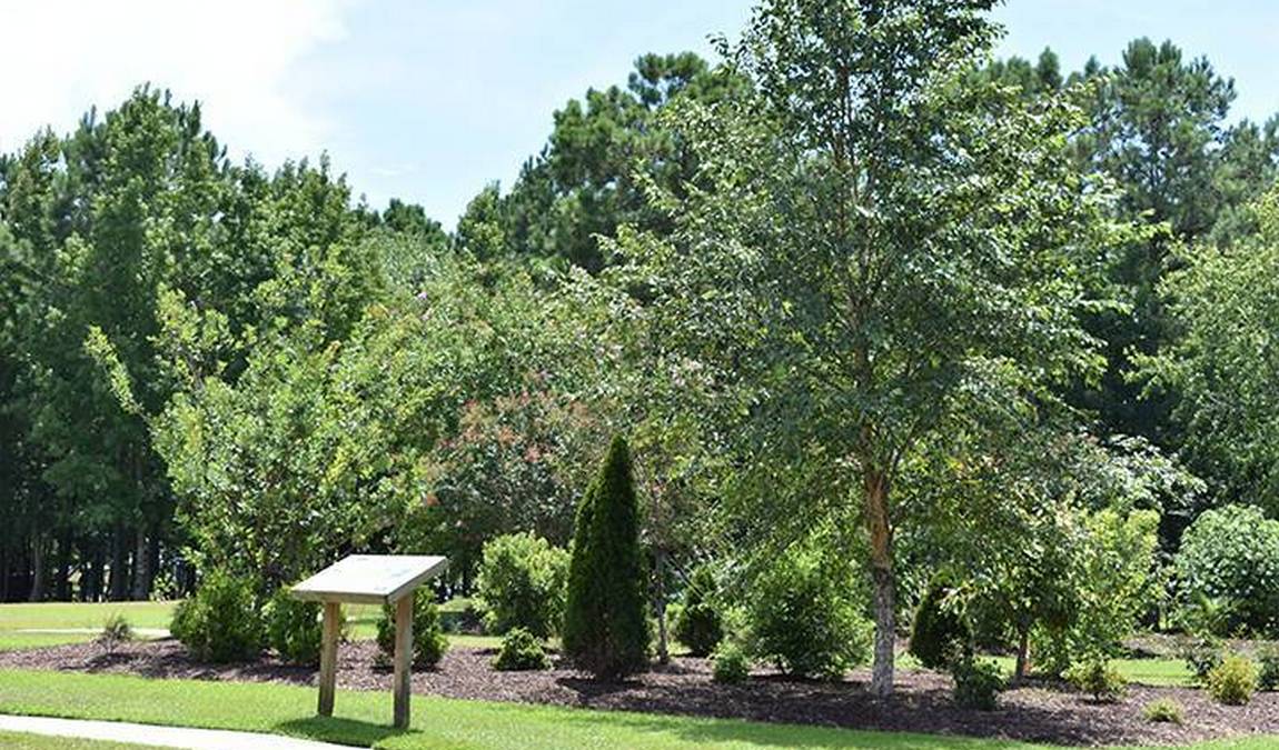 richard ray all-america park  photo 4