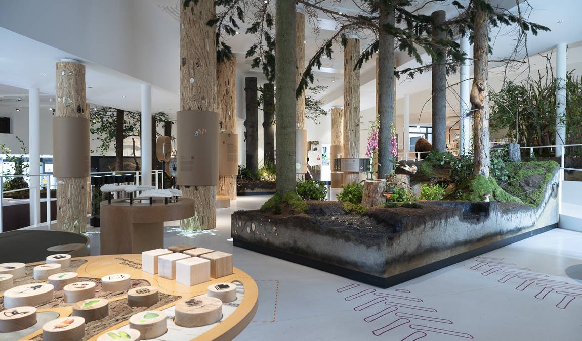 museum am schölerberg  photo 2