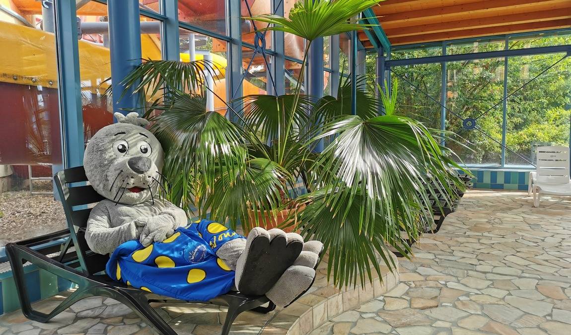 wonnemar wismar photo 1