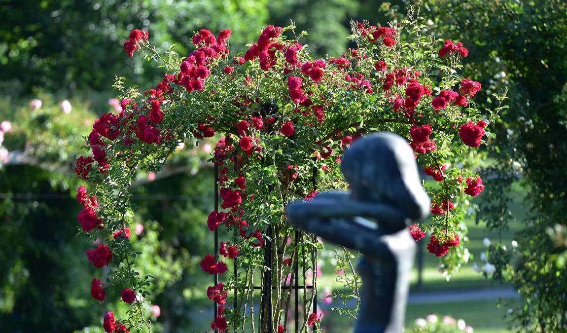 westfalenpark photo 2