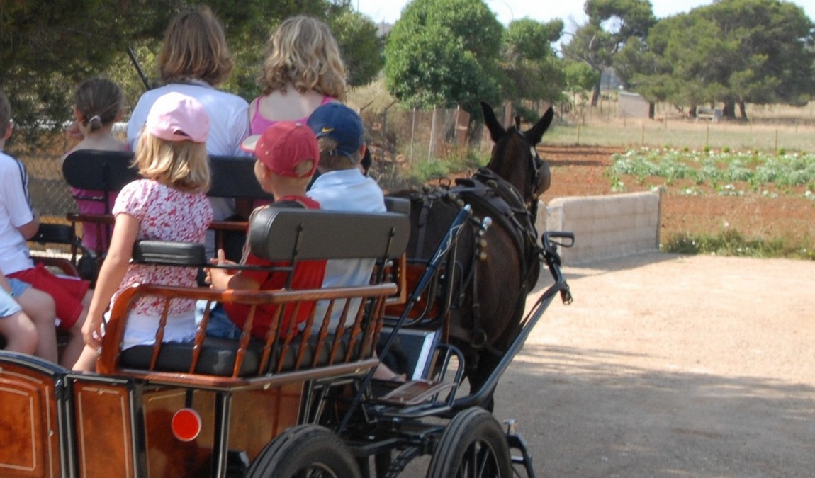 protur natura farm photo 3