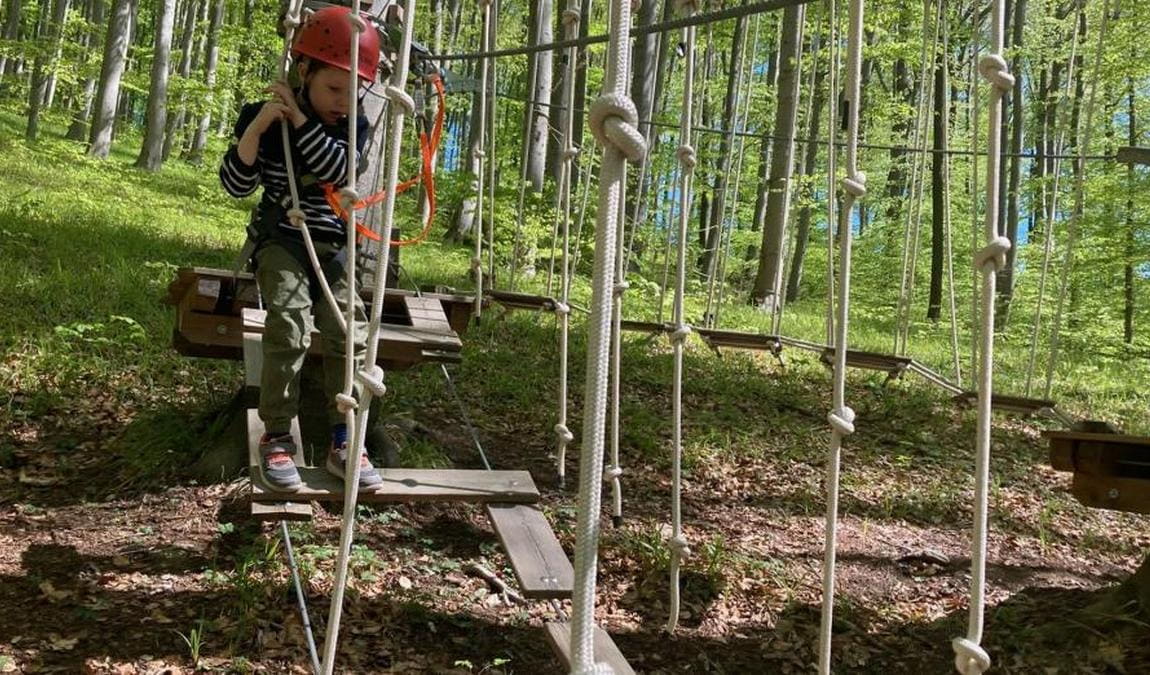 rope park purkersdorf photo 4