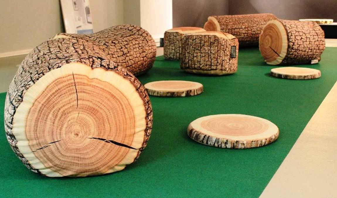 museum of natural history photo 4