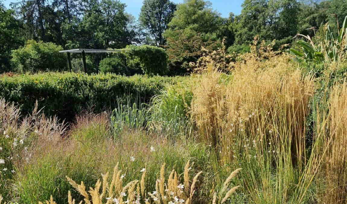 rhododendron park photo 7