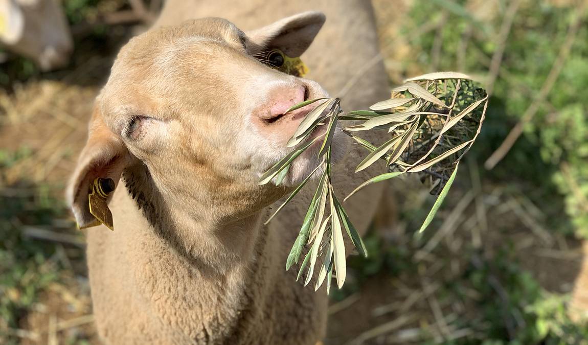 granja aventura park photo 2