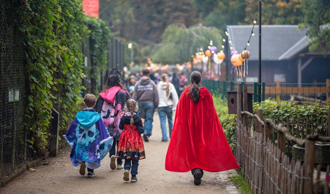 kloster riesa zoo photo 4