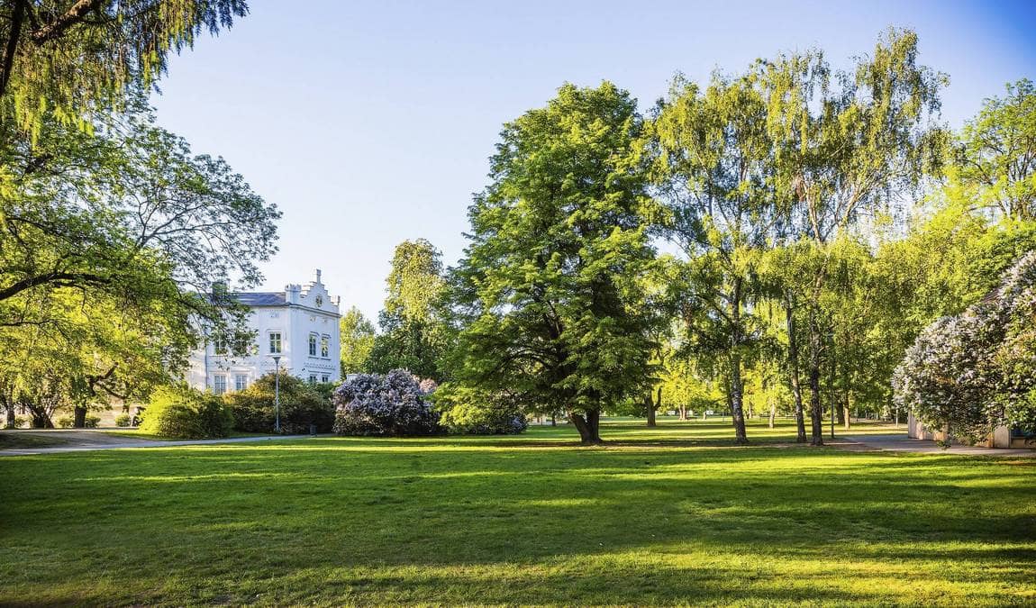 kampa island photo 6