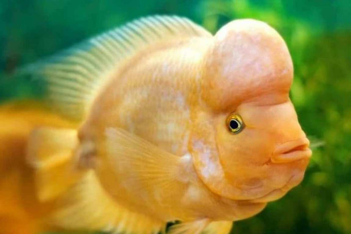 palma aquarium photo 3