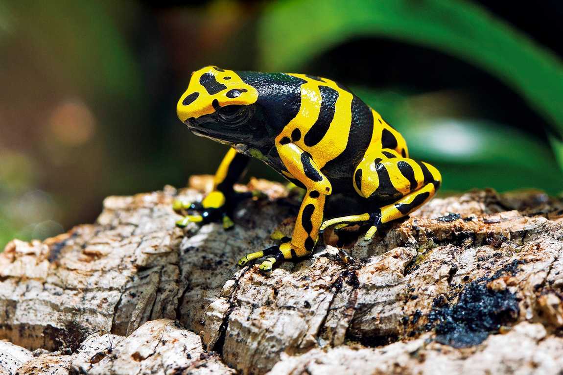 barcelona aquarium photo 3