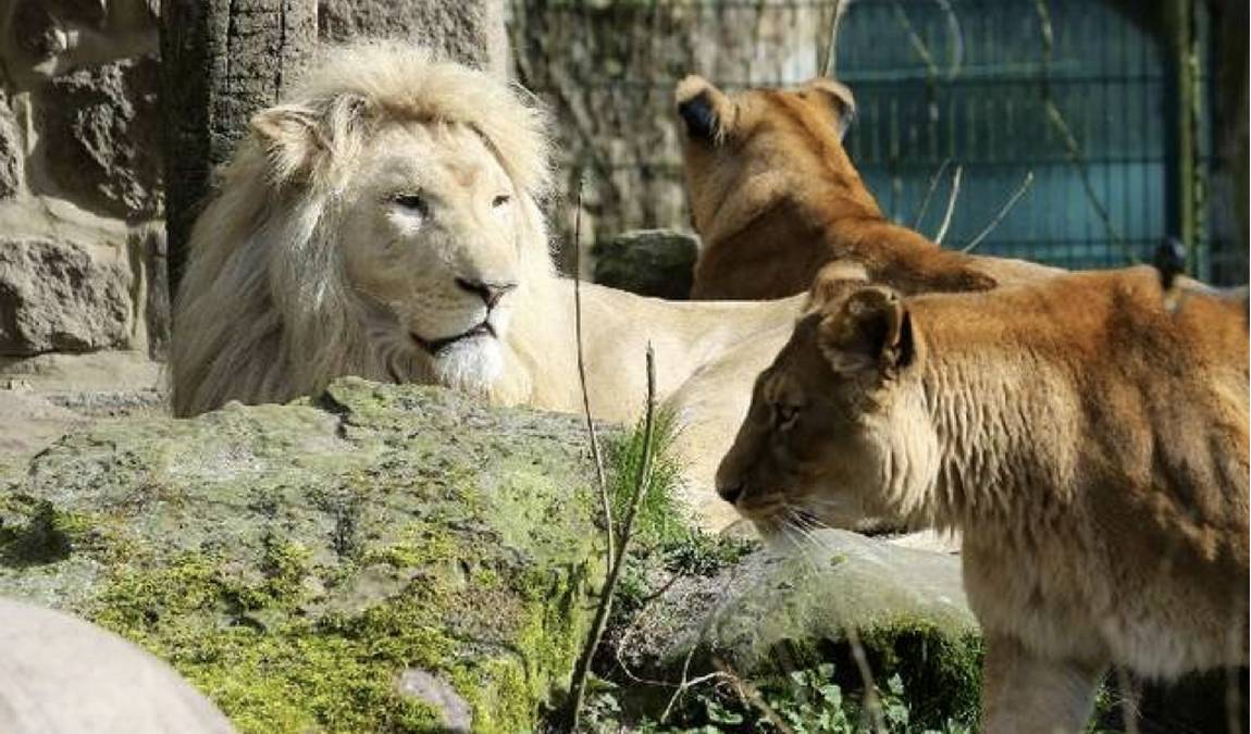 zoo eberswalde photo 1