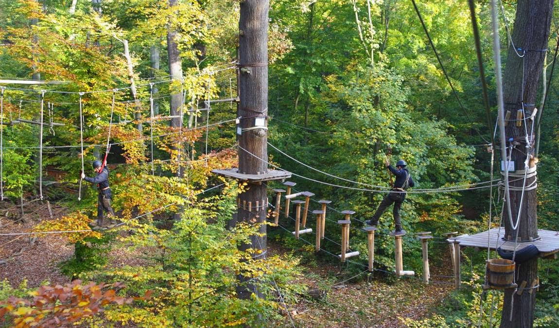 kletterwald darmstadt photo 1